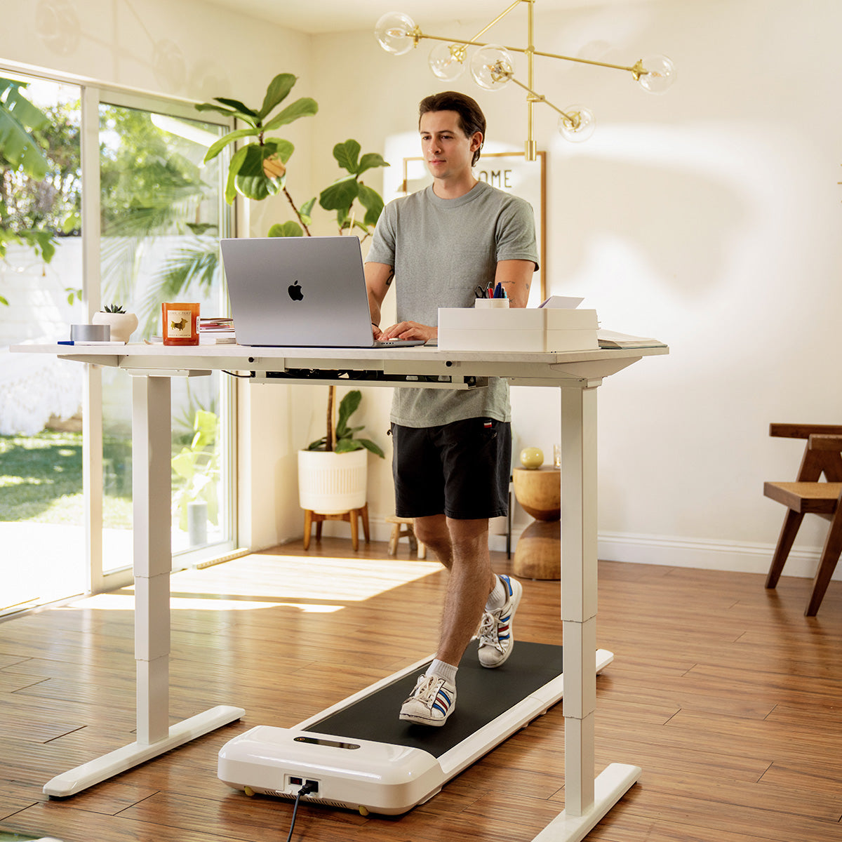 WalkingPad C2 Mini foldable walking treadmill product image